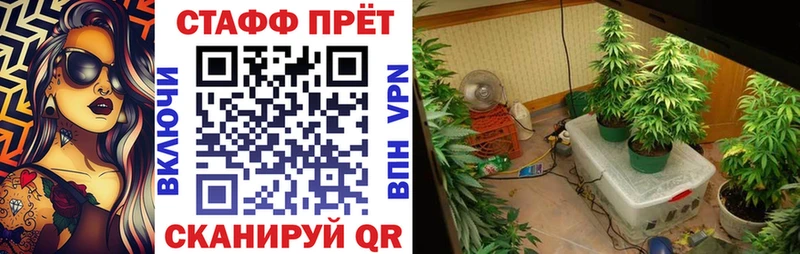 Где купить наркоту Щучье А ПВП Марихуана Мефедрон ГАШ
