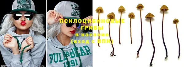 ПСИЛОЦИБИНОВЫЕ ГРИБЫ Осинники