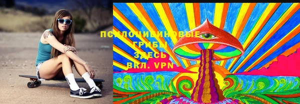 apvp Алексин