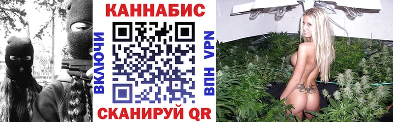 kraken tor  Щучье  Бошки Шишки планчик  дарнет шоп 